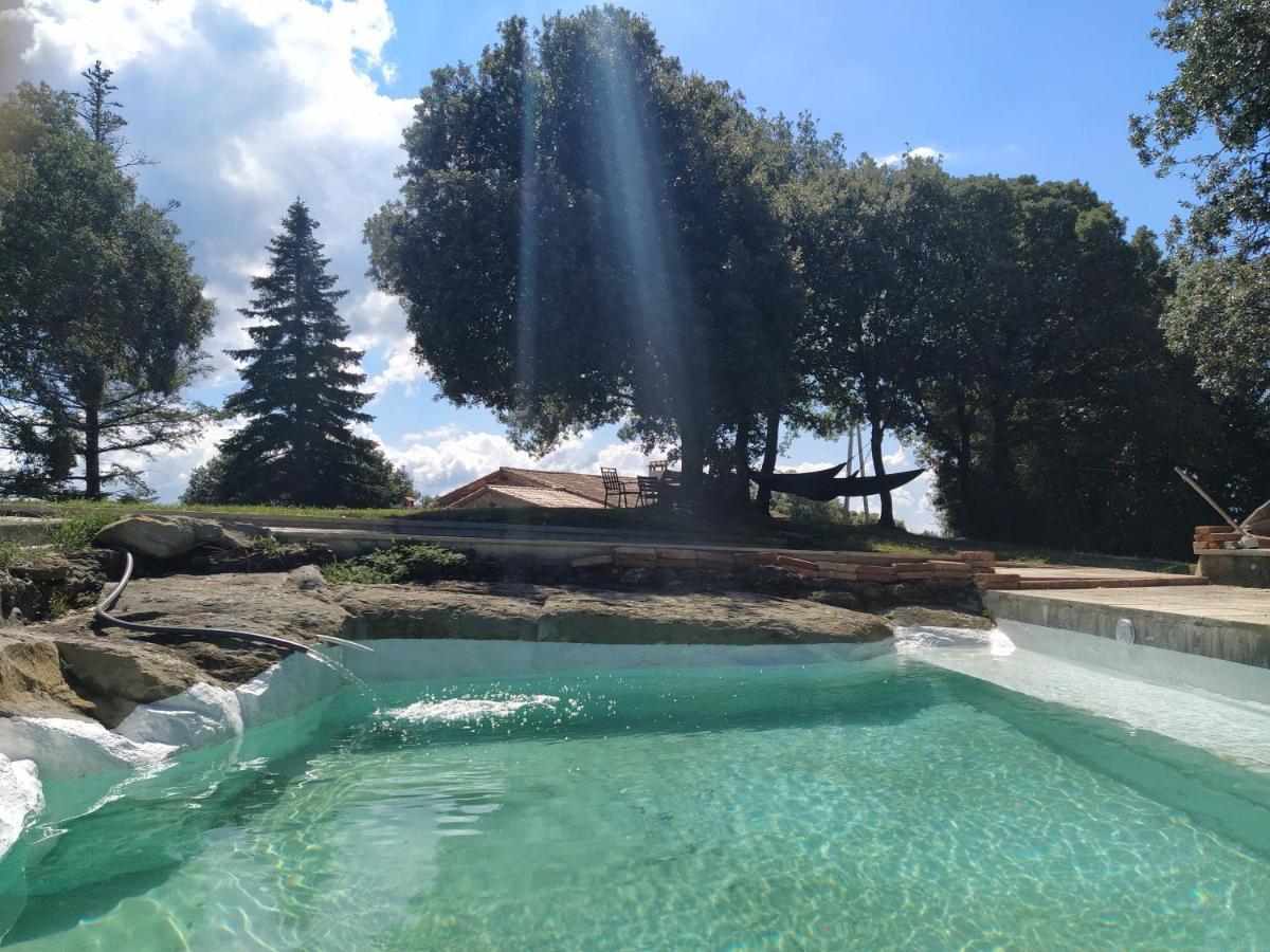 La Caseta De El Llancis Santa María de Corcó Εξωτερικό φωτογραφία